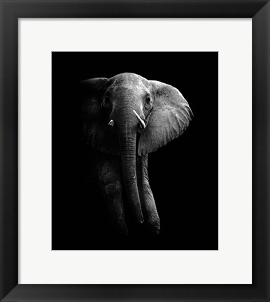 Framed Elephant! Print