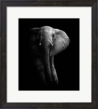 Framed Elephant! Print