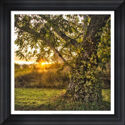 Framed Calling It a Day Print