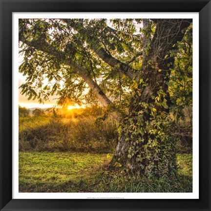 Framed Calling It a Day Print