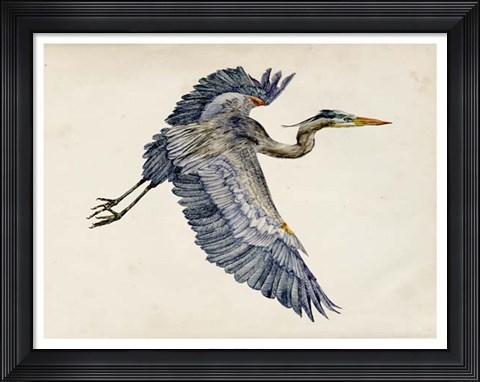 Framed Blue Heron Rendering IV Print