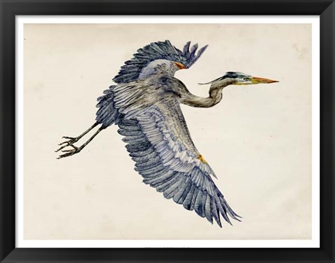 Framed Blue Heron Rendering IV Print