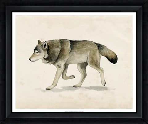 Framed Wandering III Print