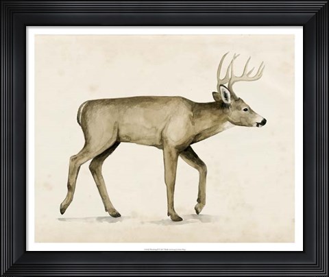 Framed Wandering IV Print