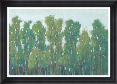 Framed Forest Green II Print
