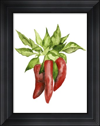 Framed Watercolor Veggie II Print