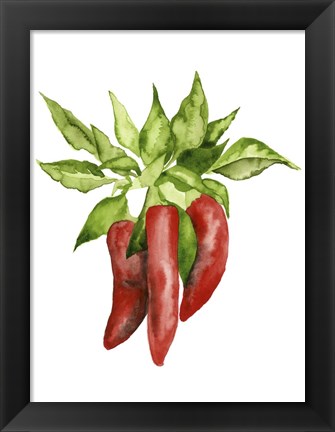 Framed Watercolor Veggie II Print