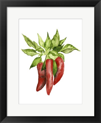 Framed Watercolor Veggie II Print