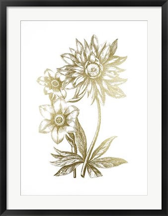Framed Gold Foil Floral Chintz I Print