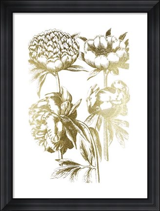 Framed Gold Foil Floral Chintz II Print