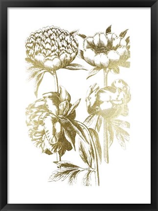 Framed Gold Foil Floral Chintz II Print