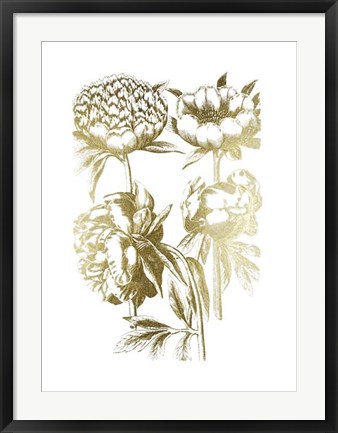 Framed Gold Foil Floral Chintz II Print