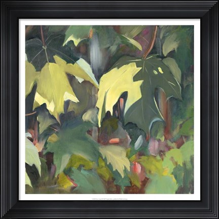 Framed Leaf Array II Print
