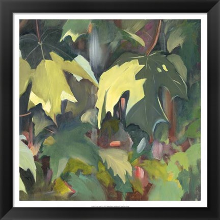 Framed Leaf Array II Print