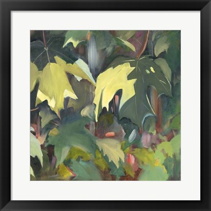 Framed Leaf Array II Print