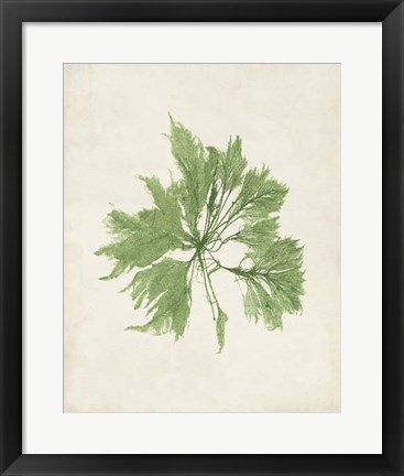 Framed Peridot Seaweed I Print