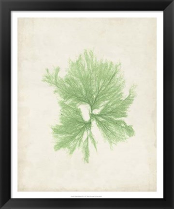 Framed Peridot Seaweed III Print