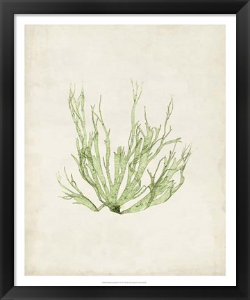 Framed Peridot Seaweed IV Print