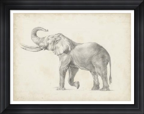 Framed Elephant Sketch I Print