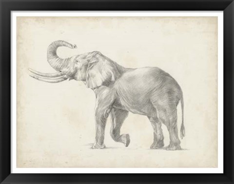 Framed Elephant Sketch I Print