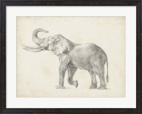 Framed Elephant Sketch I Print