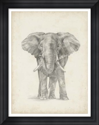 Framed Elephant Sketch II Print