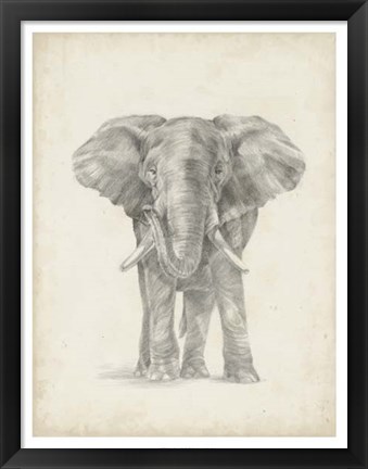 Framed Elephant Sketch II Print