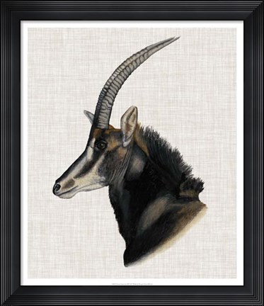 Framed Savanna Impressions III Print