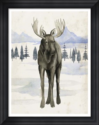 Framed Alaskan Wilderness I Print