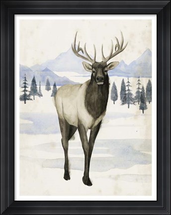 Framed Alaskan Wilderness II Print