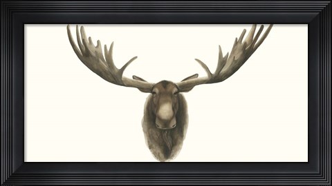 Framed Moose Bust Print