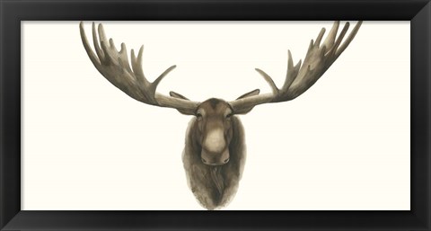 Framed Moose Bust Print