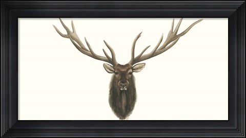 Framed Elk Bust Print