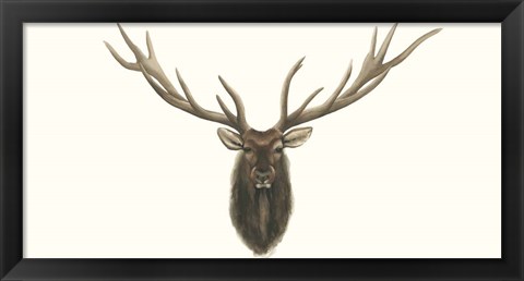 Framed Elk Bust Print