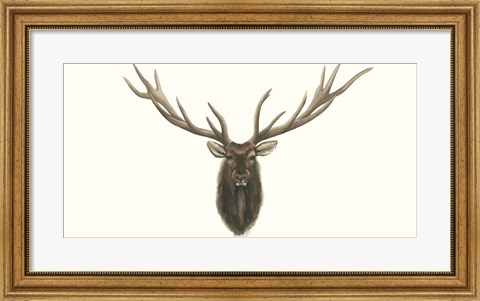 Framed Elk Bust Print