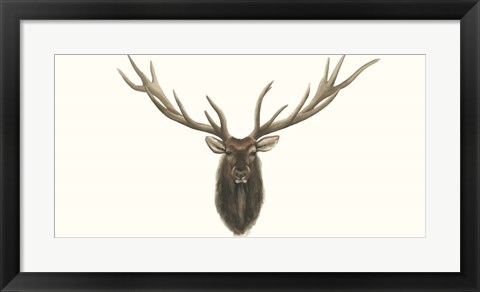 Framed Elk Bust Print
