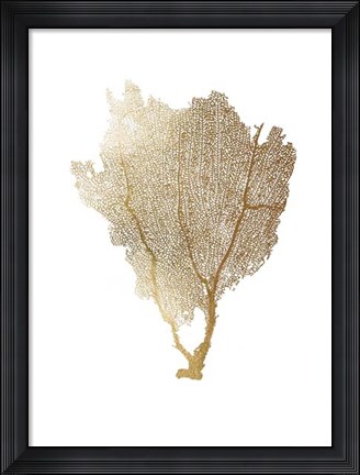 Framed Gold Foil Sea Fan I Print