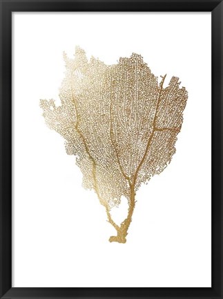 Framed Gold Foil Sea Fan I Print