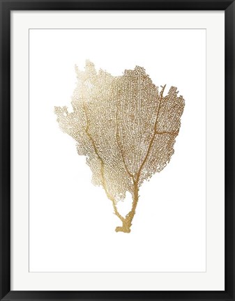 Framed Gold Foil Sea Fan I Print
