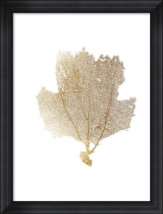 Framed Gold Foil Sea Fan II Print