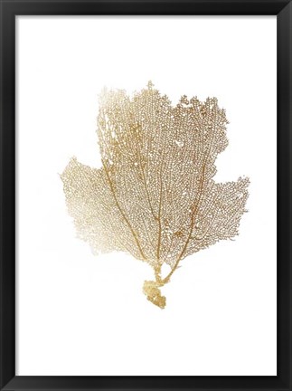 Framed Gold Foil Sea Fan II Print