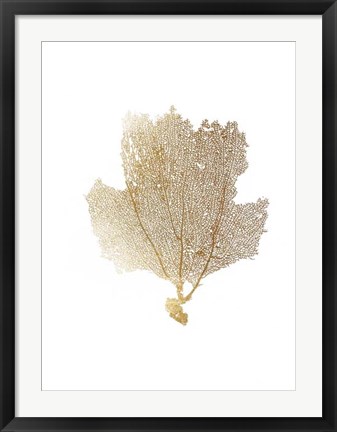 Framed Gold Foil Sea Fan II Print