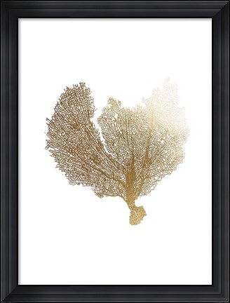 Framed Gold Foil Sea Fan III Print