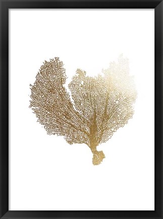 Framed Gold Foil Sea Fan III Print