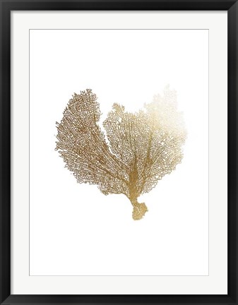 Framed Gold Foil Sea Fan III Print