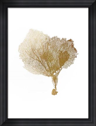 Framed Gold Foil Sea Fan IV Print