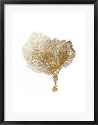 Framed Gold Foil Sea Fan IV Print