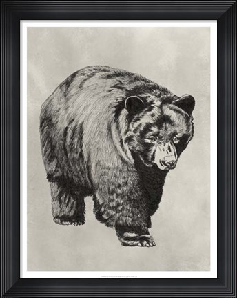 Framed Pen &amp; Ink Bear I Print