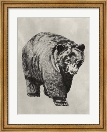 Framed Pen &amp; Ink Bear I Print