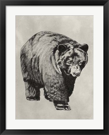 Framed Pen &amp; Ink Bear I Print